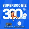 SUPER 300 Biz