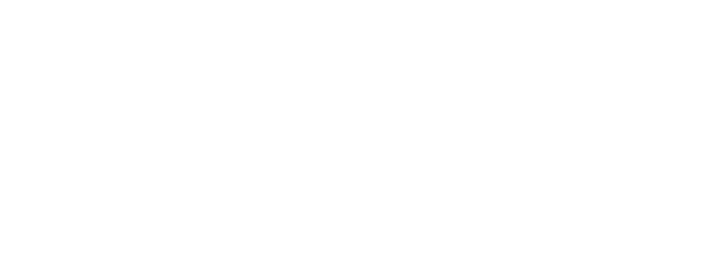 FPT Telecom